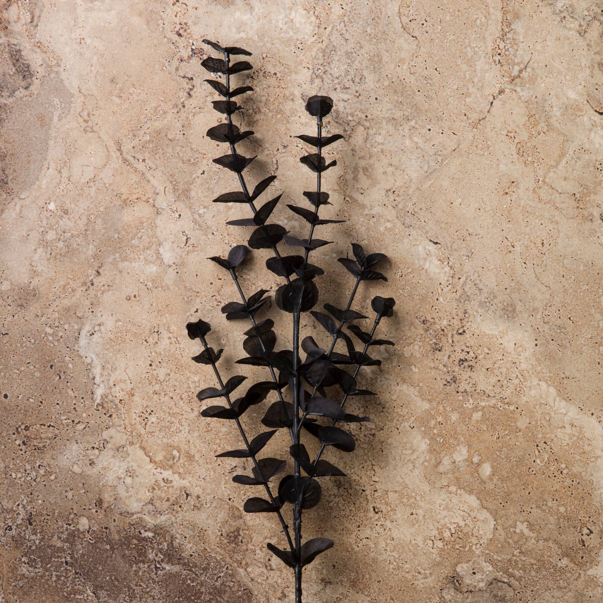 12 Pack: Black Eucalyptus Spray by Ashland®